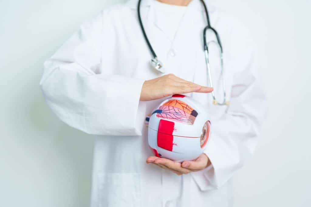 Doctor with human Eye anatomy model with magnifying glass.